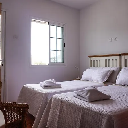 Cozy In La Laguna